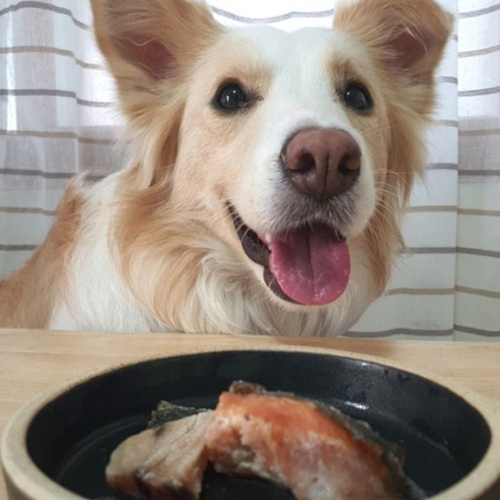 
                  
                    Half Dried 'Codfish'
                  
                