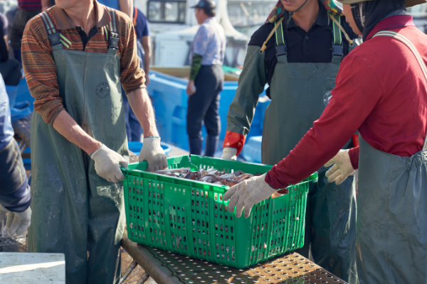 Raw Material Sourcing (Port Auction)