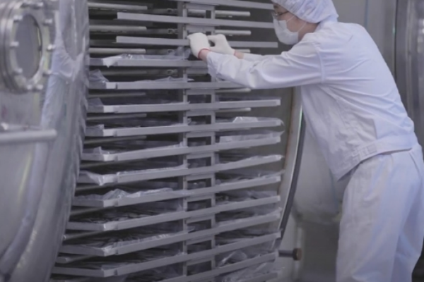 Vacuum Drying